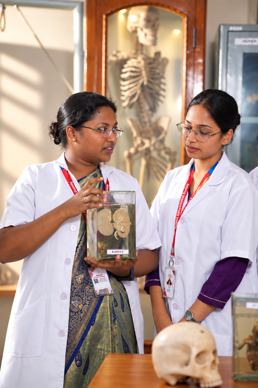 B.Sc Nursing